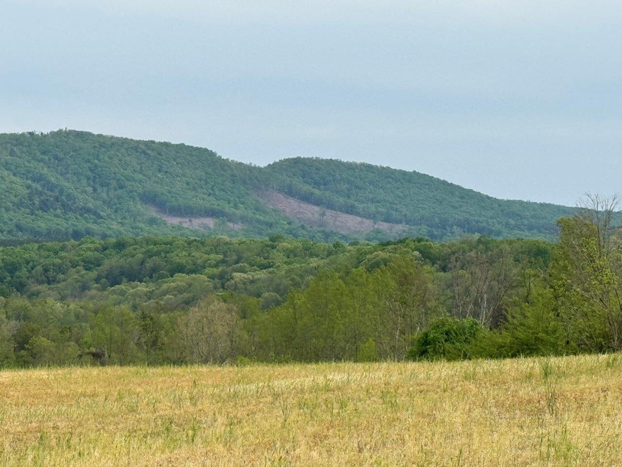 1630 Taylor Tyree Road Rocky Mount, VA 24151 - Photo 34 of 45 IMG_5287