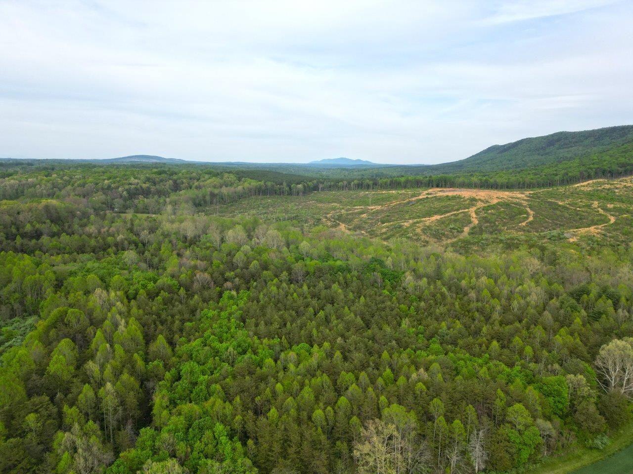1630 Taylor Tyree Road Rocky Mount, VA 24151 - Photo 4 of 45 DJI_0588