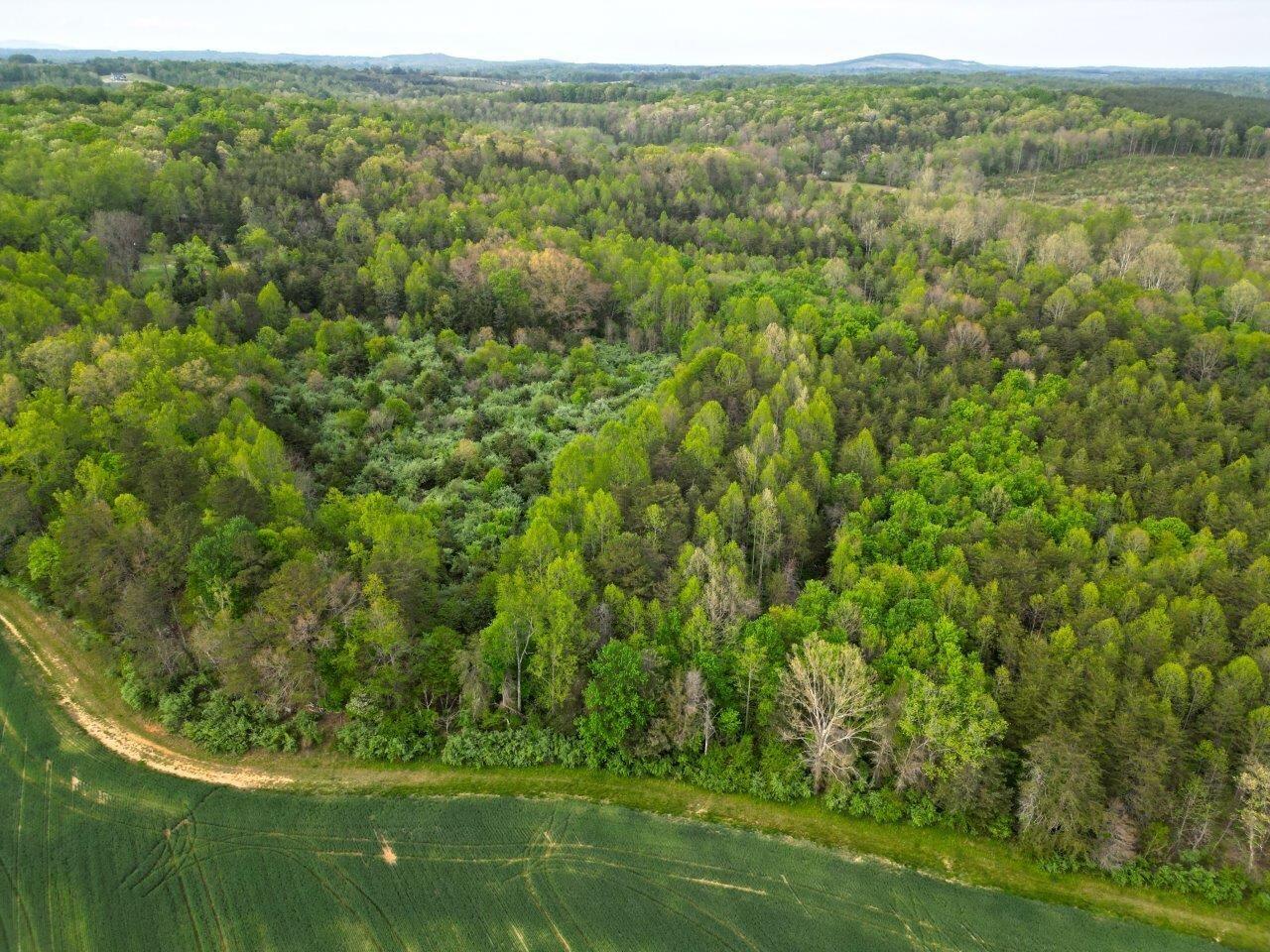 1630 Taylor Tyree Road Rocky Mount, VA 24151 - Photo 5 of 45 DJI_0590