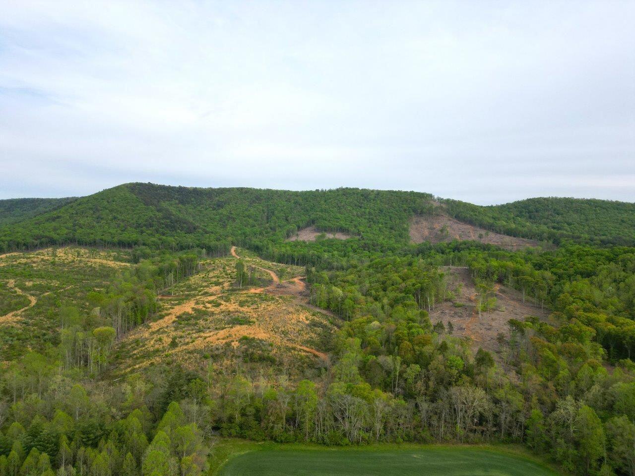 1630 Taylor Tyree Road Rocky Mount, VA 24151 - Photo 6 of 45 DJI_0593