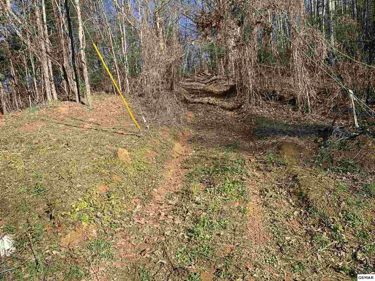 314 Hickey Road Sevierville, TN 37876 - Photo 20 of 36