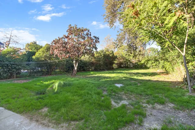 a backyard of a house with plants and large trees
