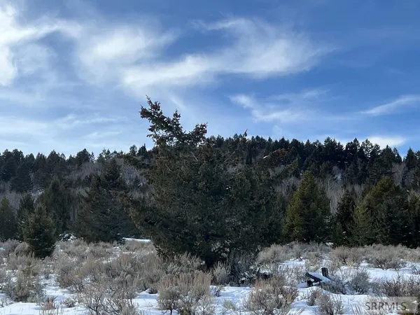 $575,000 | 3080 Grandview Drive, Tetonia, ID 83452