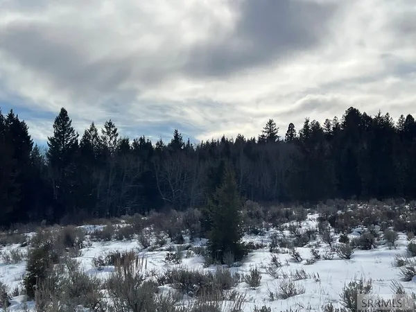 $575,000 | 3080 Grandview Drive, Tetonia, ID 83452