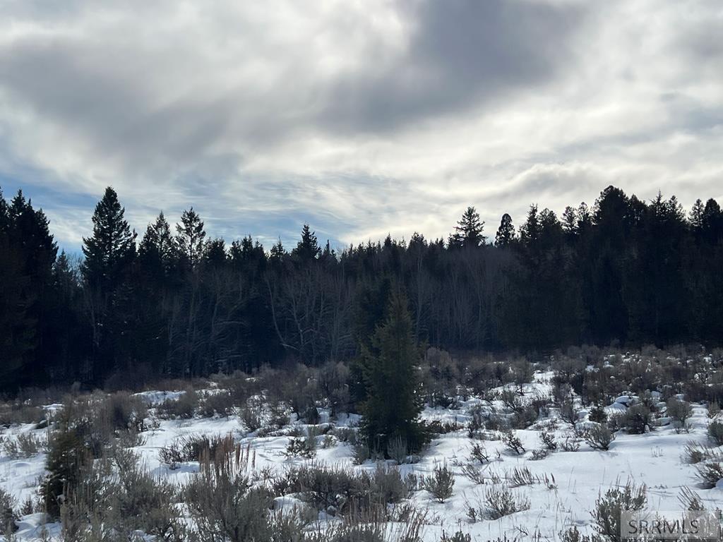 3080 Grandview Drive Tetonia, ID 83452 - Photo 5 of 8