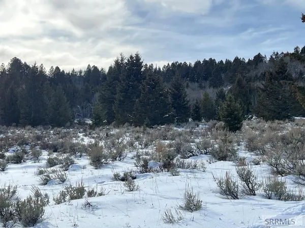 $575,000 | 3080 Grandview Drive, Tetonia, ID 83452