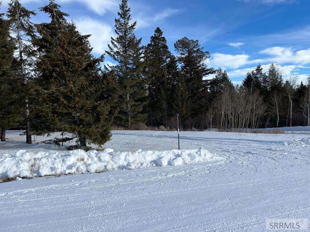 3080 Grandview Drive Tetonia, ID 83452 - Photo 8 of 8