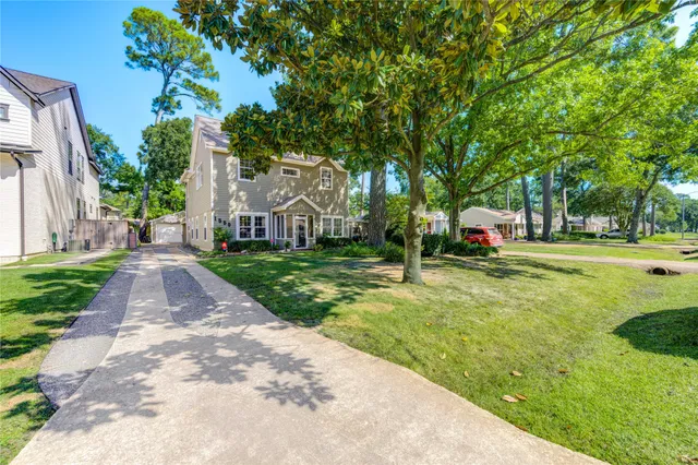 a view of a park with large trees