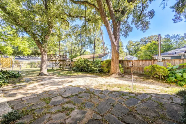 a view of a yard with plants and trees