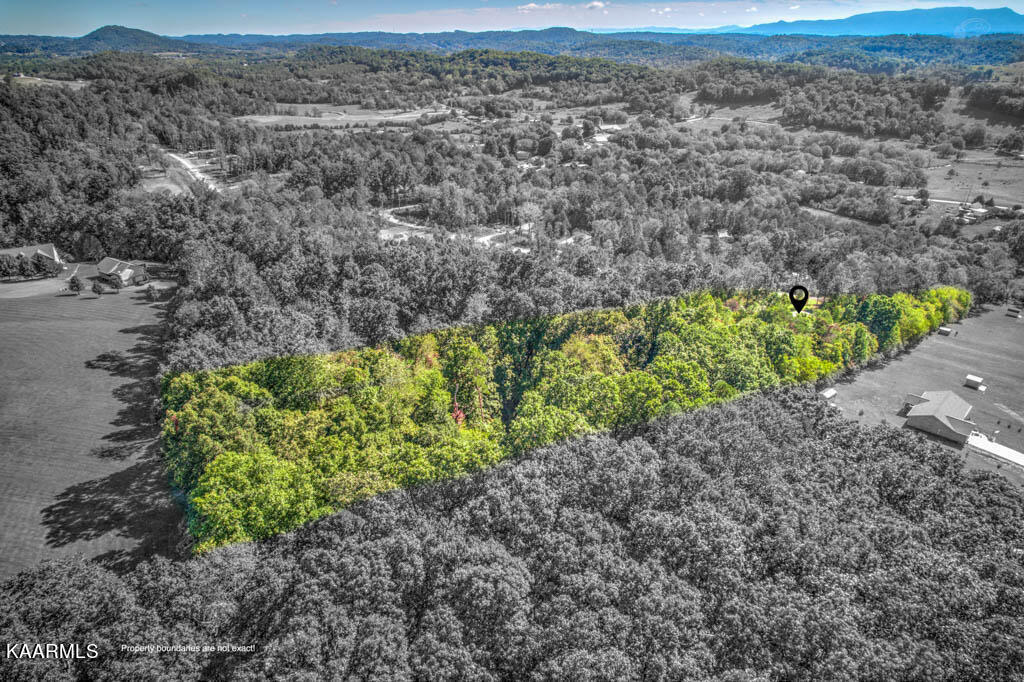 1751 Dumplin Loop Road New Market, TN 37820 - Photo 11 of 30 DJI_0538_39_40-Edit
