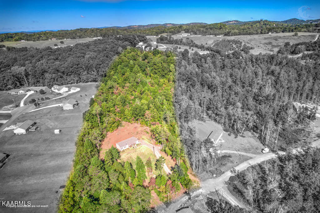 1751 Dumplin Loop Road New Market, TN 37820 - Photo 9 of 30 DJI_0523_4_5-Edit