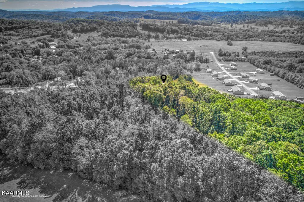 1751 Dumplin Loop Road New Market, TN 37820 - Photo 10 of 30 DJI_0535_6_7-Edit