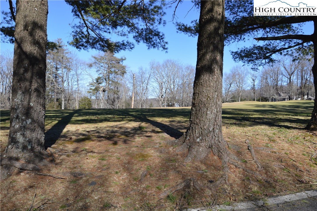 89 Rabbit Run Glade Valley, NC 28627 - Photo 33 of 37