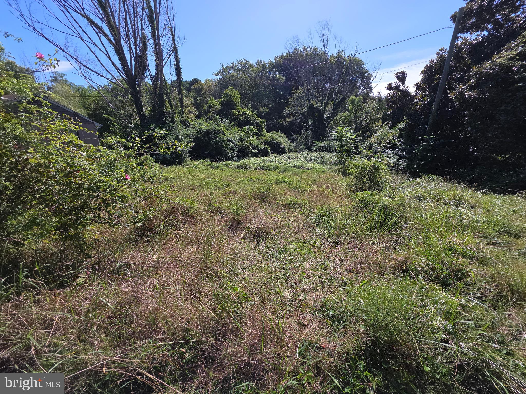 49894 Gray Goose Lane Ridge, MD 20680 - Photo 8 of 18