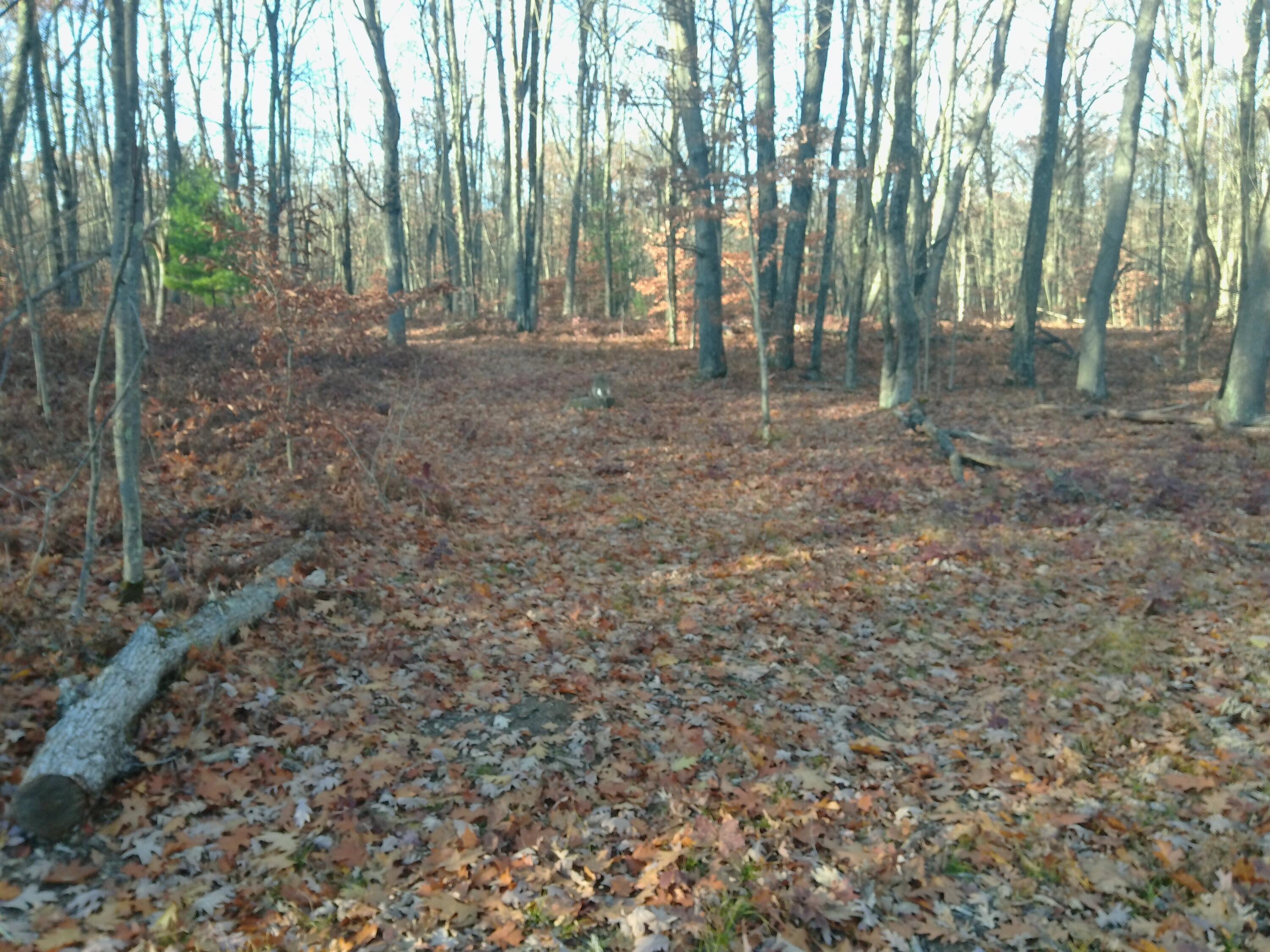 9579 East Timberline Trail Reed City, MI 49677 - Photo 14 of 19 100_0013