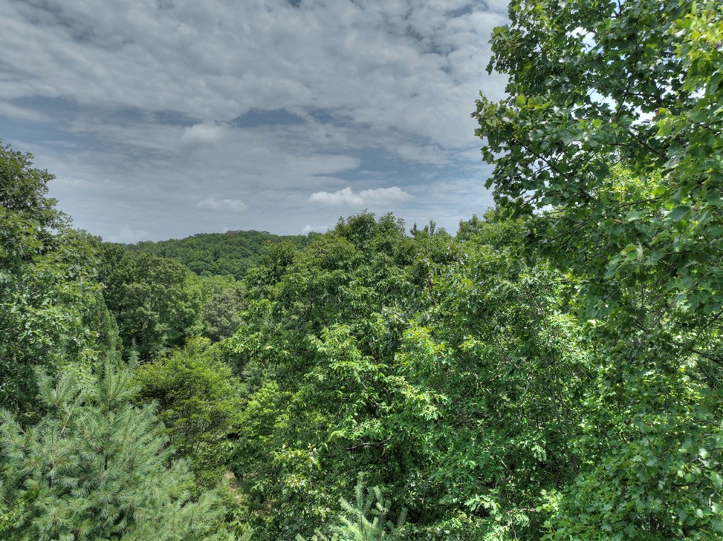 Lt C Dillons Ridge Road Morganton, GA 30560 - Photo 9 of 18 Gallery Image 9