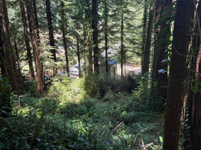 0 Spears Road Eureka, CA 95503 - Photo 13 of 17 Gallery Image 13