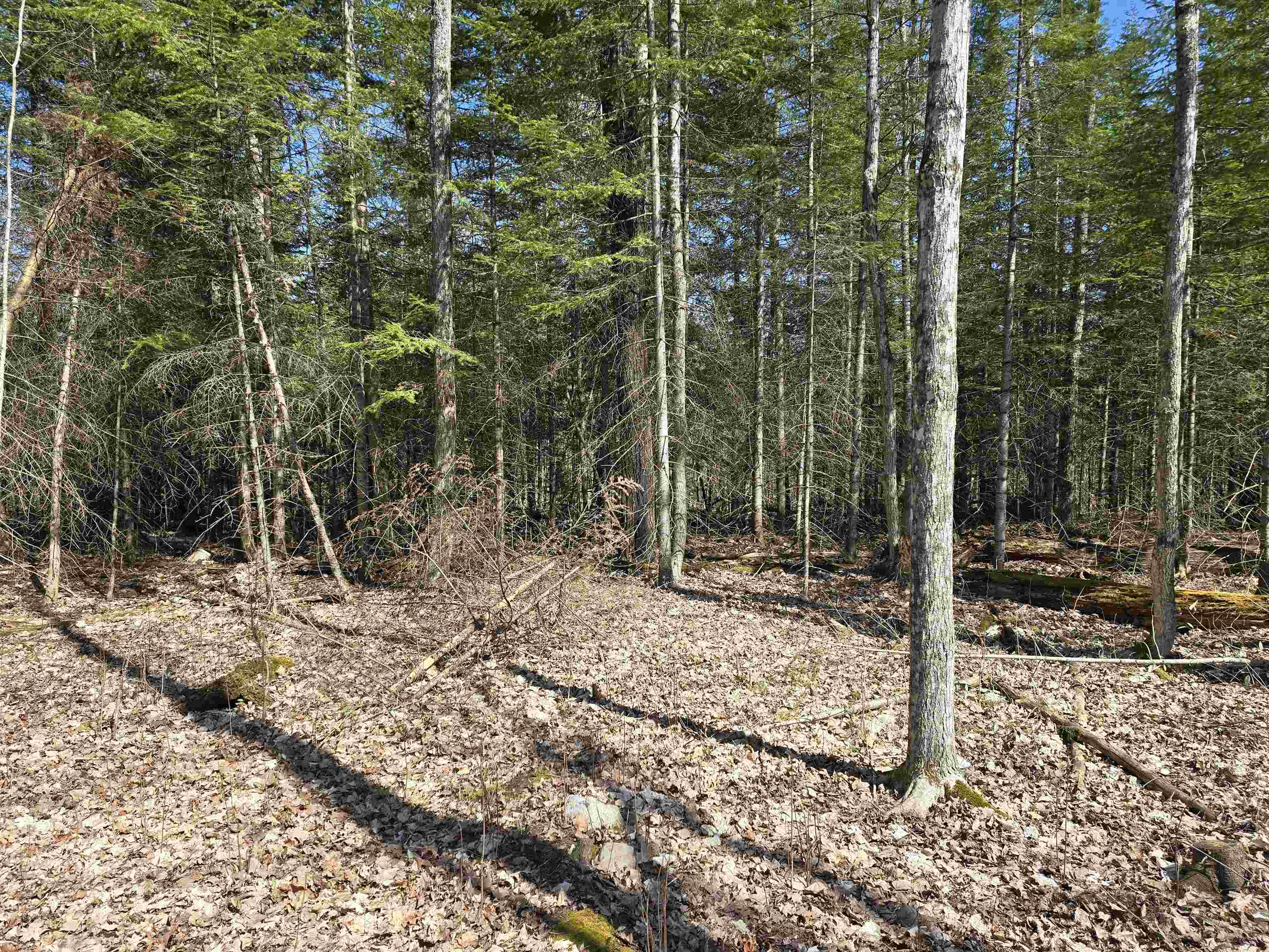 12770 Paradise Lake Road Levering, MI 49755 - Photo 47 of 47 Gallery Image 47