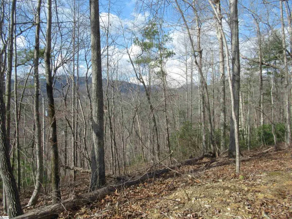 $29,000 | 32 Belvoir Drive, Unit LOTS 31, Pickens, SC 29671