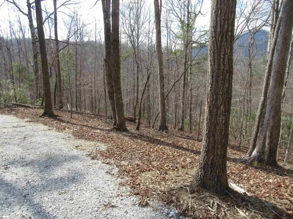 $29,000 | 32 Belvoir Drive, Unit LOTS 31, Pickens, SC 29671
