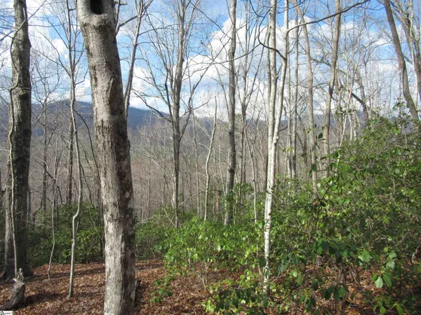 $29,000 | 32 Belvoir Drive, Unit LOTS 31, Pickens, SC 29671