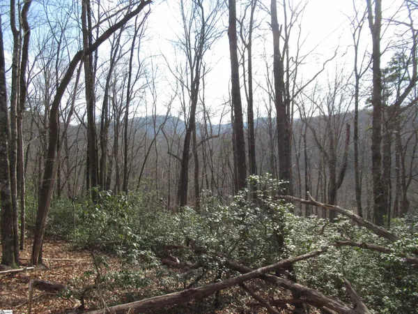 $29,000 | 32 Belvoir Drive, Unit LOTS 31, Pickens, SC 29671