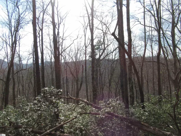 $29,000 | 32 Belvoir Drive, Unit LOTS 31, Pickens, SC 29671