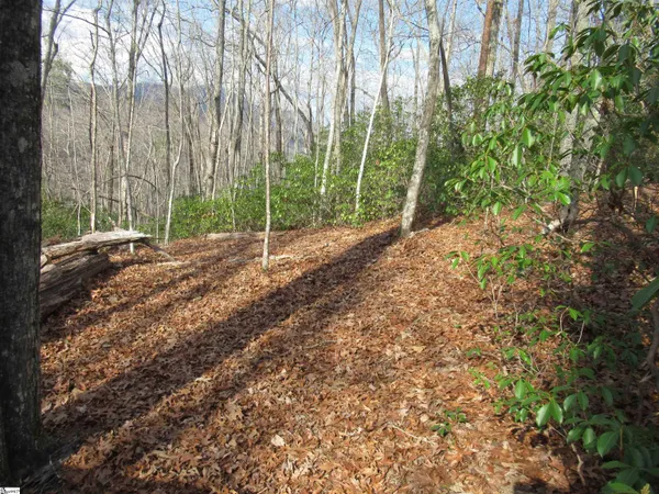 $29,000 | 32 Belvoir Drive, Unit LOTS 31, Pickens, SC 29671