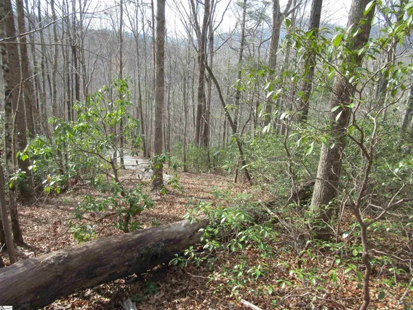$29,000 | 32 Belvoir Drive, Unit LOTS 31, Pickens, SC 29671