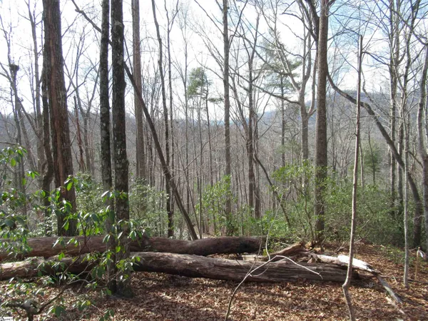 $29,000 | 32 Belvoir Drive, Unit LOTS 31, Pickens, SC 29671