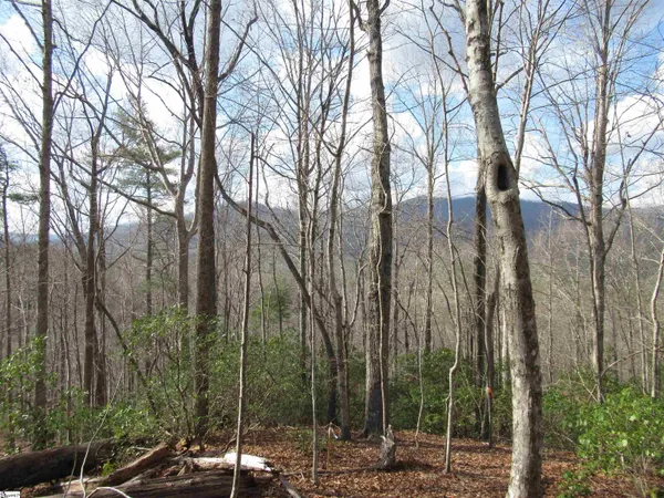 $29,000 | 32 Belvoir Drive, Unit LOTS 31, Pickens, SC 29671