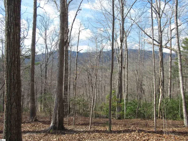 $29,000 | 32 Belvoir Drive, Unit LOTS 31, Pickens, SC 29671