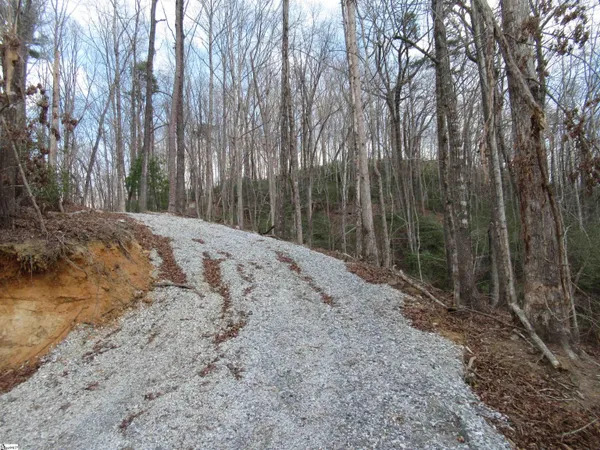 $29,000 | 32 Belvoir Drive, Unit LOTS 31, Pickens, SC 29671