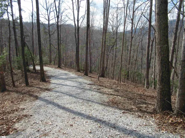 $29,000 | 32 Belvoir Drive, Unit LOTS 31, Pickens, SC 29671