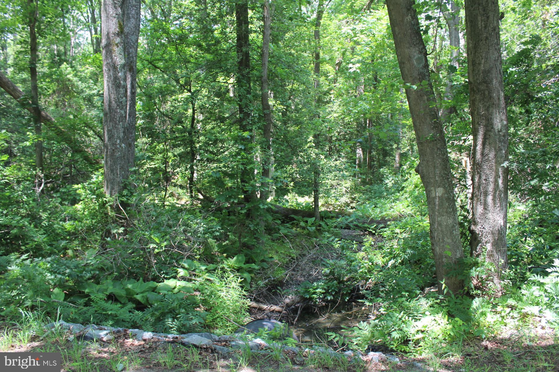 Lot 3 Jackson Road Salisbury, MD 21804 - Photo 15 of 20
