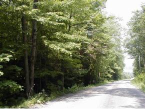 921 Sapbush Road Chenango Forks, NY 13746 - Photo 4 of 4 Gallery Image 4