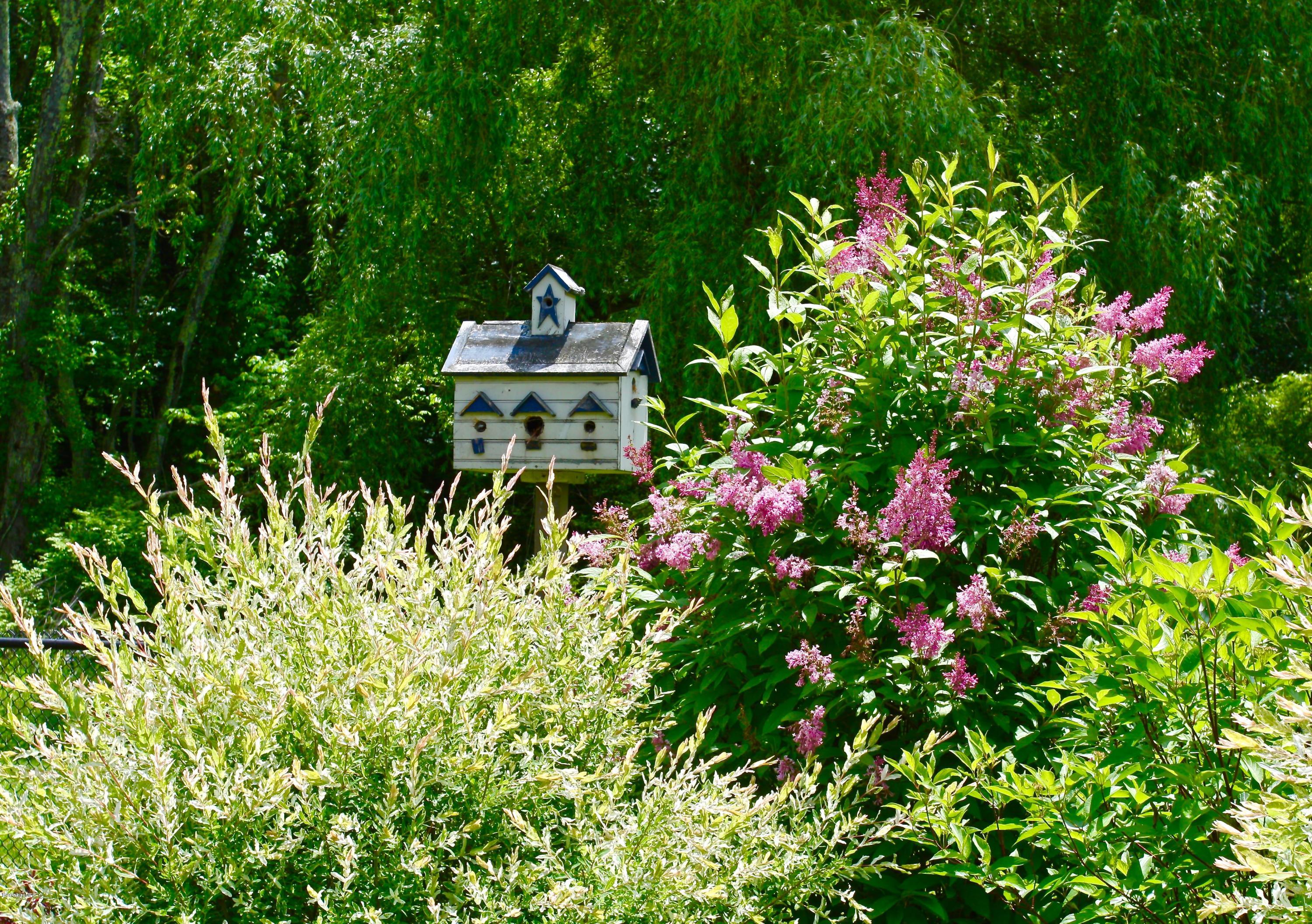 50 E Road Sheffield, MA 01257 - Photo 37 of 41 Even The Birds Love It