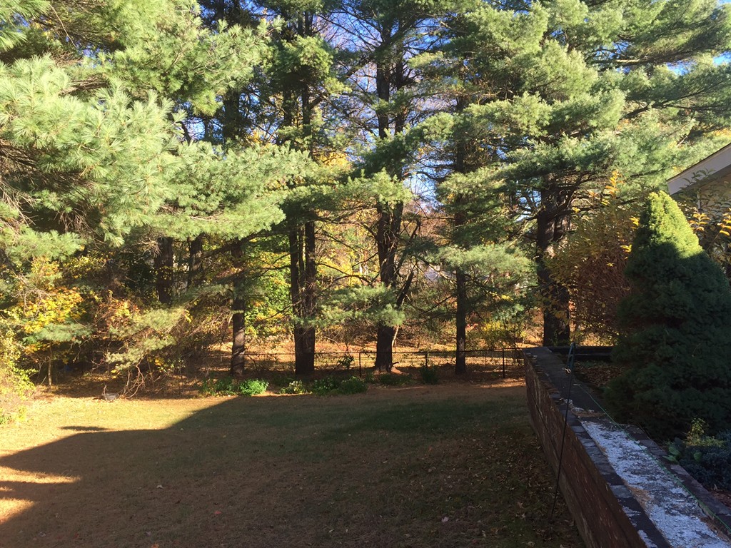 23 Red Coat Road Framingham, MA 01701 - Photo 3 of 5 Gallery Image 3