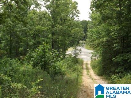 0 Beaver Ridge Drive, Unit 42 48 Ashville, AL 35953 - Photo 6 of 26