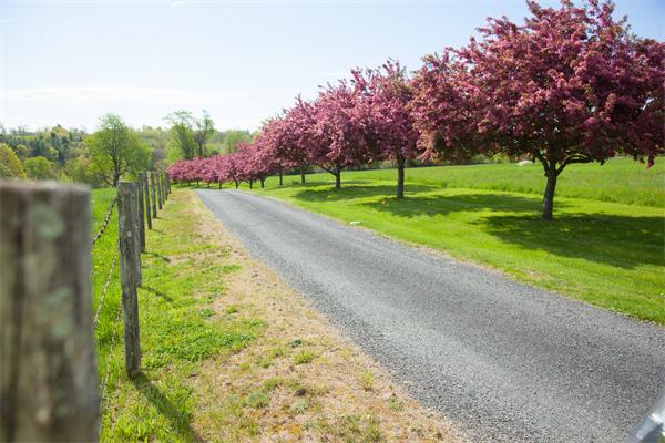 1186 Hardwick Road Hardwick, MA 01037 - Photo 1 of 30 Gallery Image 1