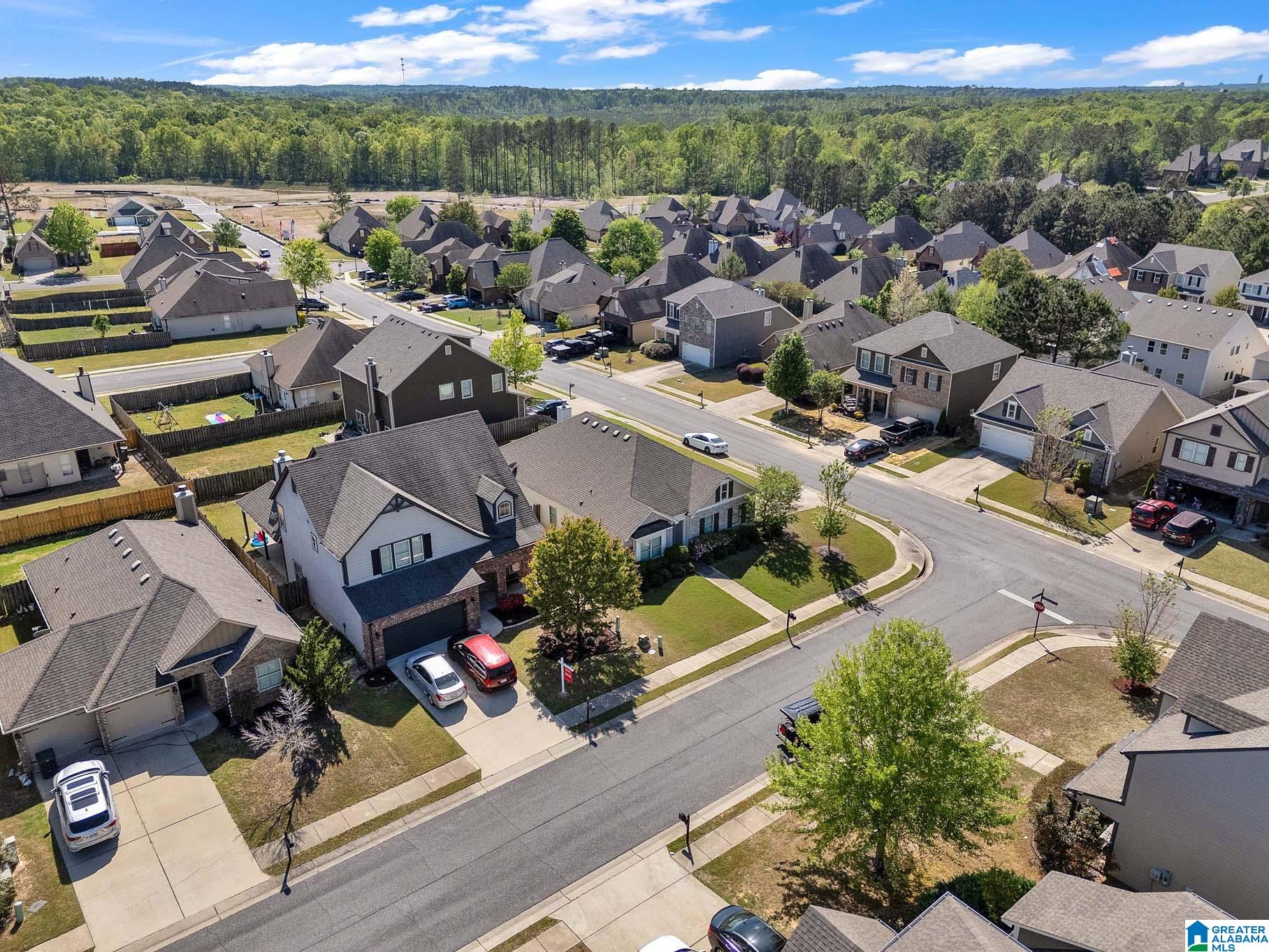 1004 Bethpage Lane Calera, AL 35040 - Photo 48 of 49
