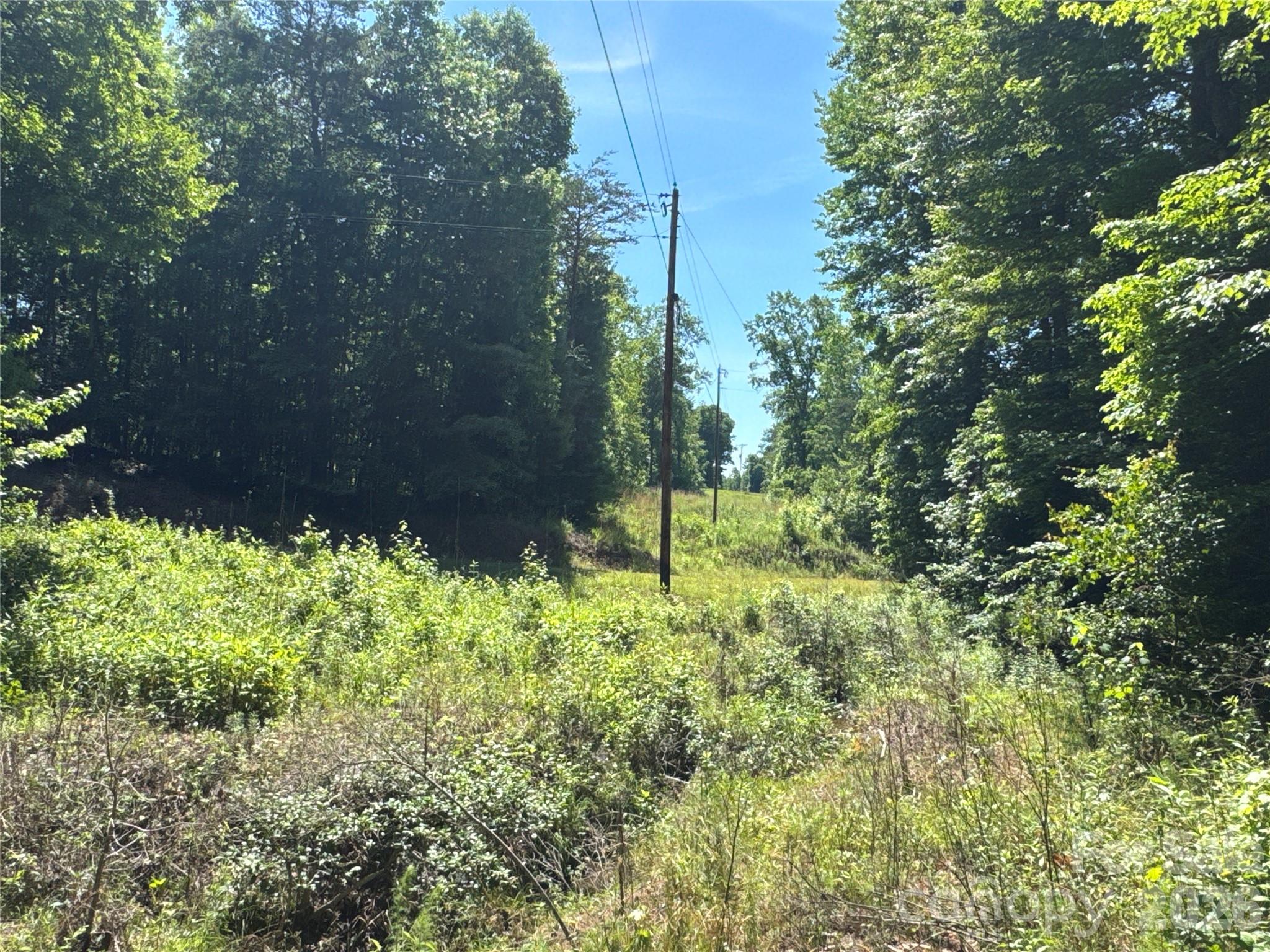306 Golden Valley Road Casar, NC 28020 - Photo 15 of 17