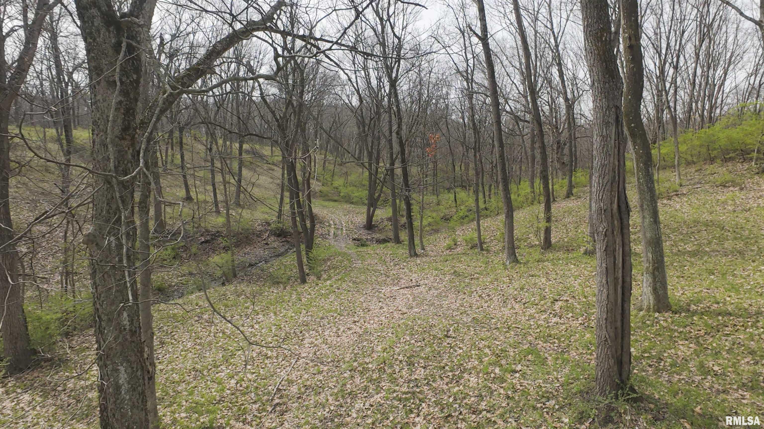 1 North Hardscrabble Road Chillicothe, IL 61523 - Photo 16 of 28