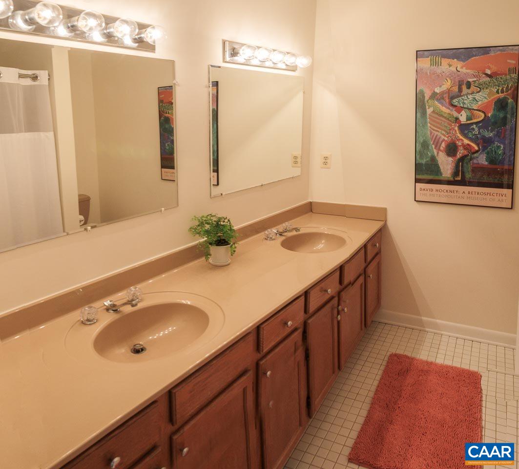 590 Explorers Road Charlottesville, VA 22911 - Photo 21 of 50 a bathroom with a sink and a mirror