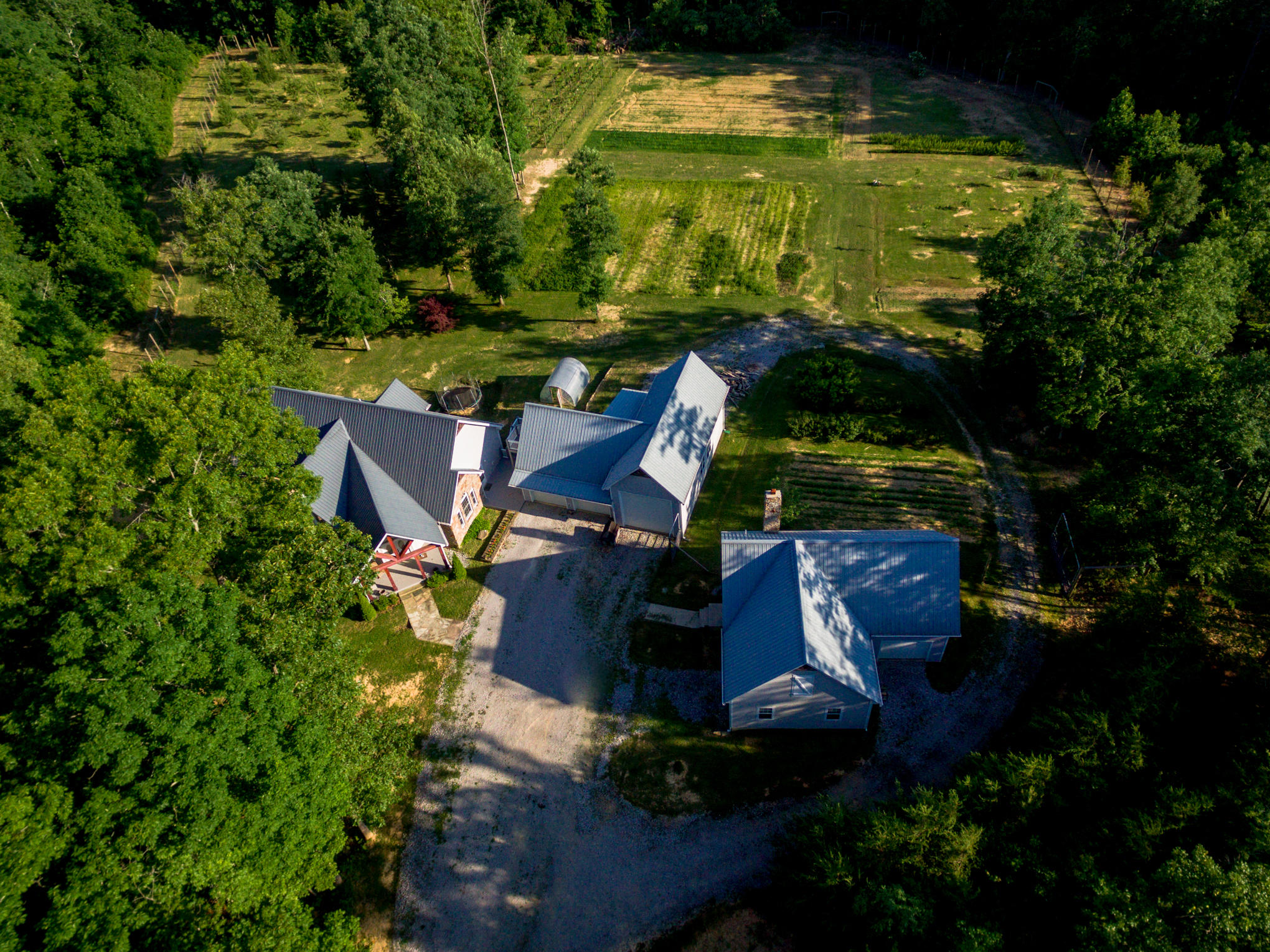 370 Caldwell Road Coalmont, TN 37313 - Photo 4 of 97 DJI_0118
