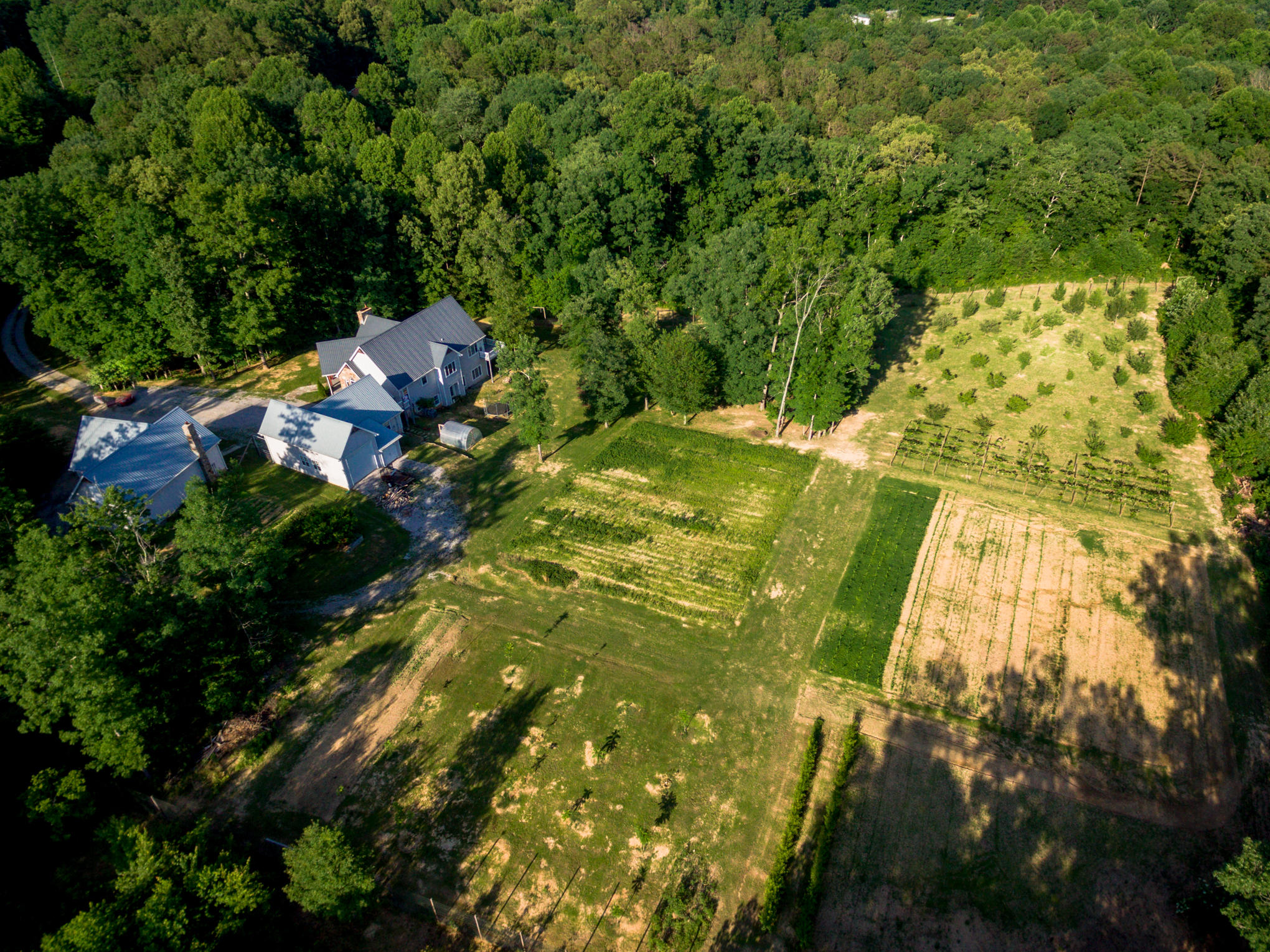 370 Caldwell Road Coalmont, TN 37313 - Photo 5 of 97 DJI_0110