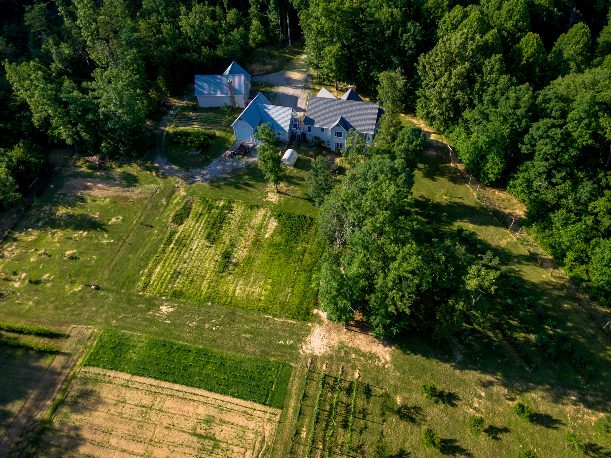 370 Caldwell Road Coalmont, TN 37313 - Photo 6 of 97 DJI_0108