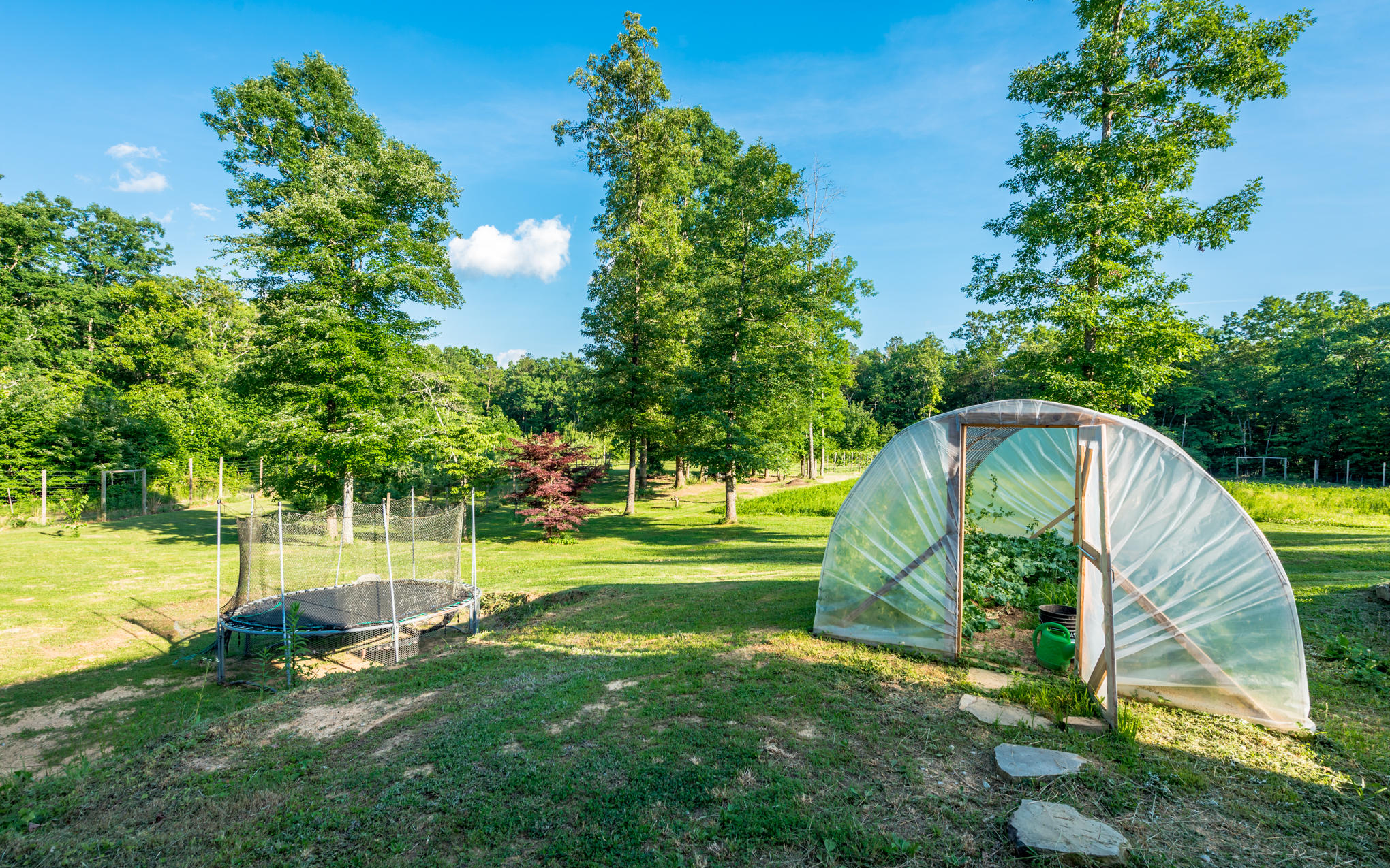 370 Caldwell Road Coalmont, TN 37313 - Photo 57 of 97 DSC_0468