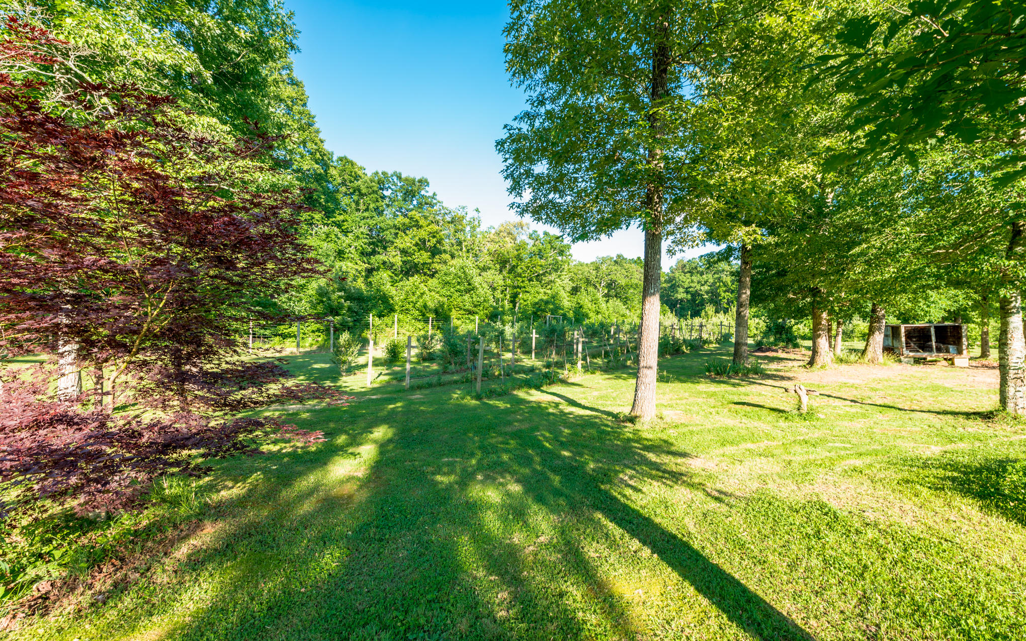 370 Caldwell Road Coalmont, TN 37313 - Photo 58 of 97 DSC_0469