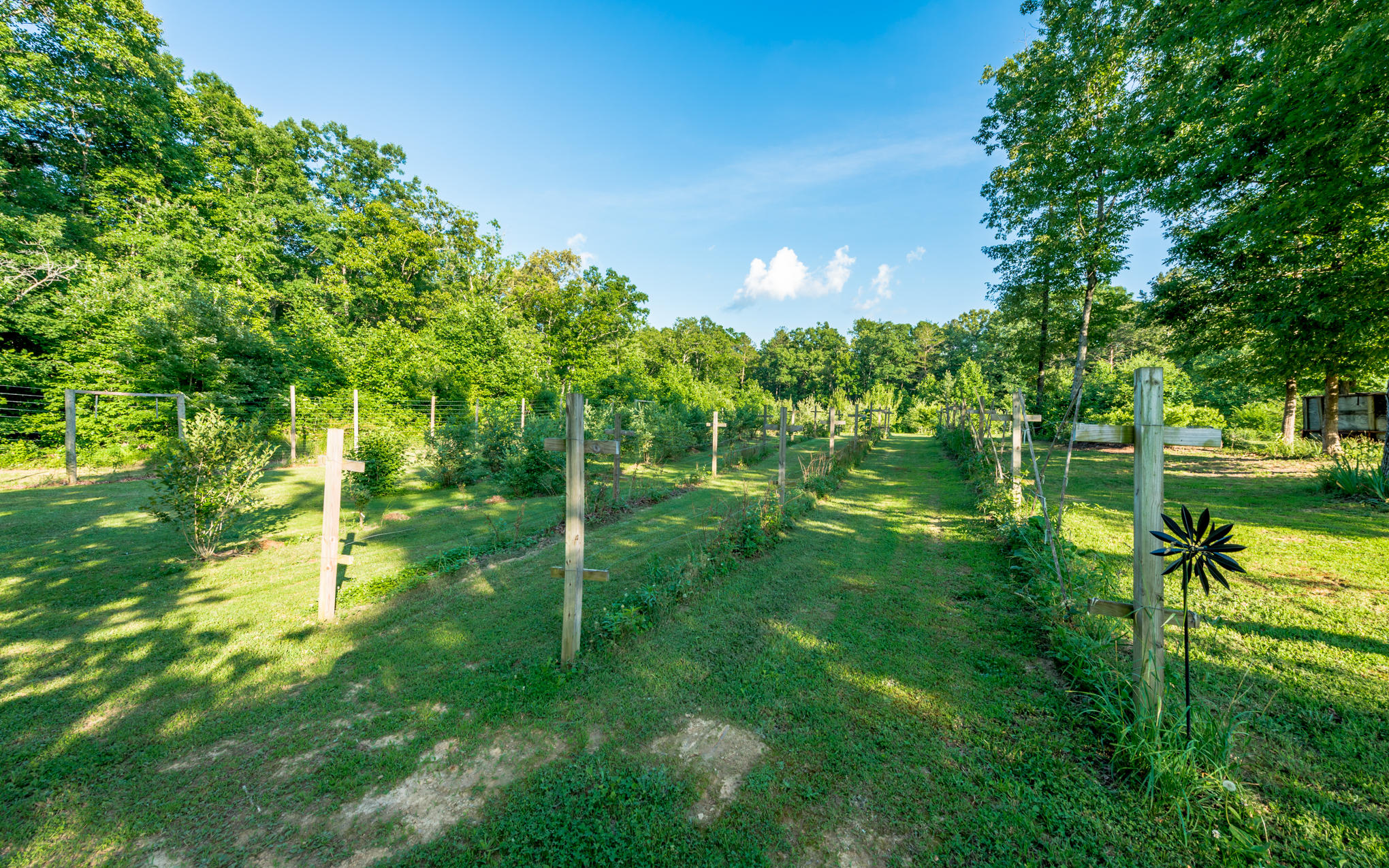 370 Caldwell Road Coalmont, TN 37313 - Photo 59 of 97 DSC_0473